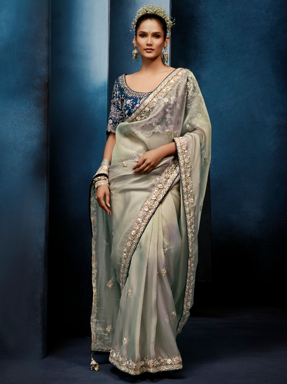 Silver Celebration Fancy Saree With Premium Blouse - TrendOye