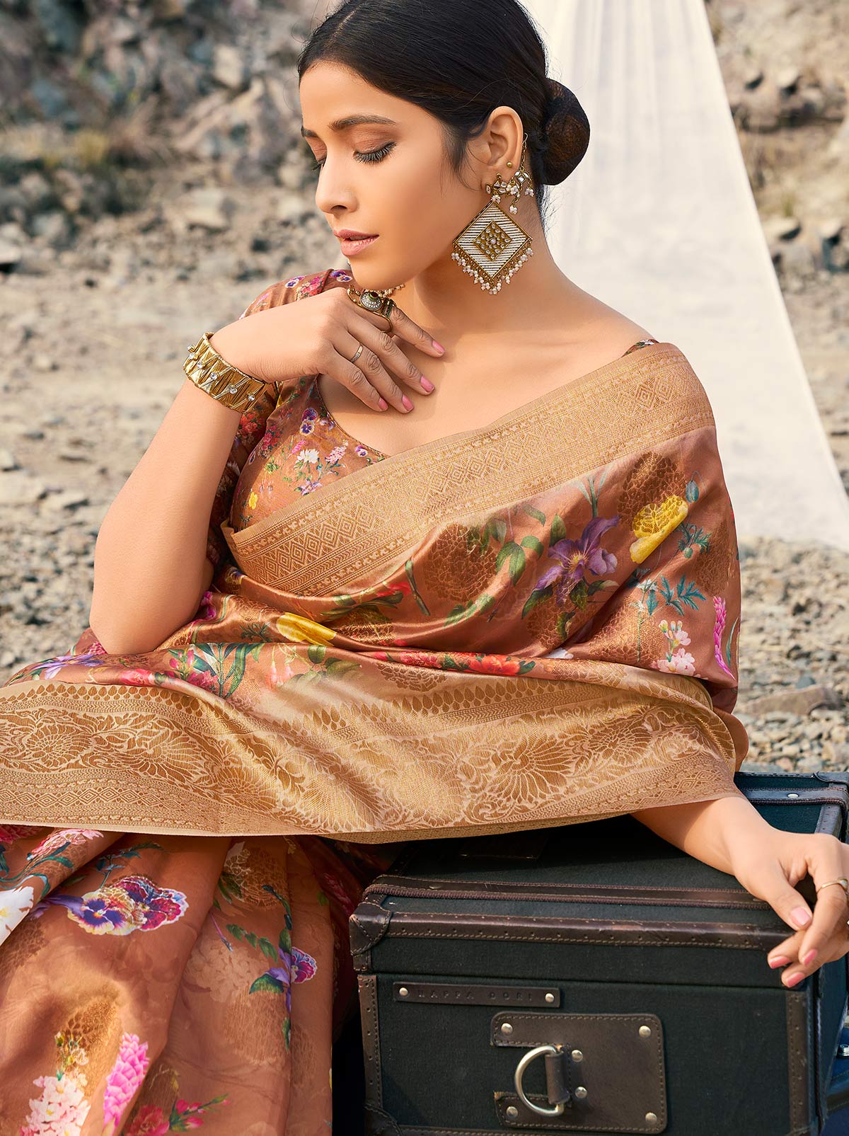Mind-Blowing Brown Coloured Digital Art Silk Saree - TrendOye
